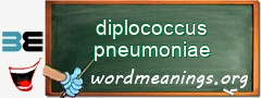 WordMeaning blackboard for diplococcus pneumoniae